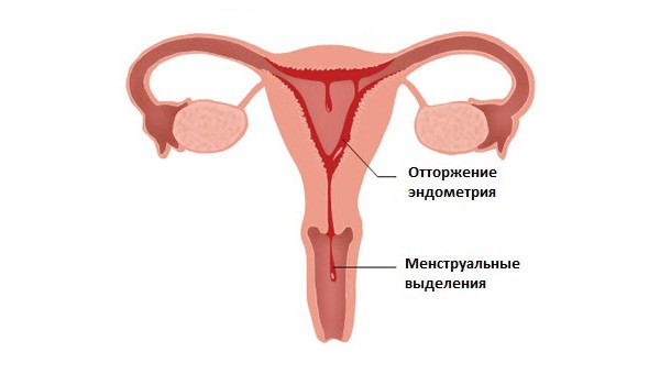 menstruacija